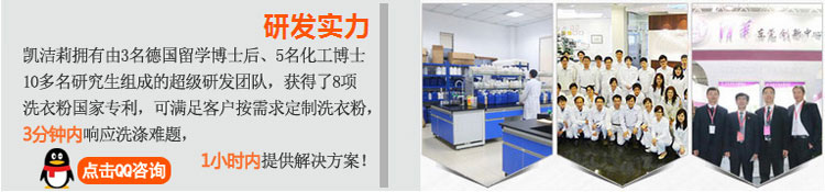 凱潔莉洗衣粉洗滌劑研發(fā)團隊