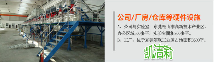 凱潔莉洗衣粉洗滌劑生產(chǎn)設備及車間