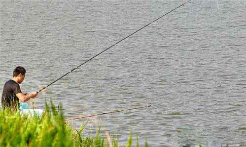 釣魚(yú)